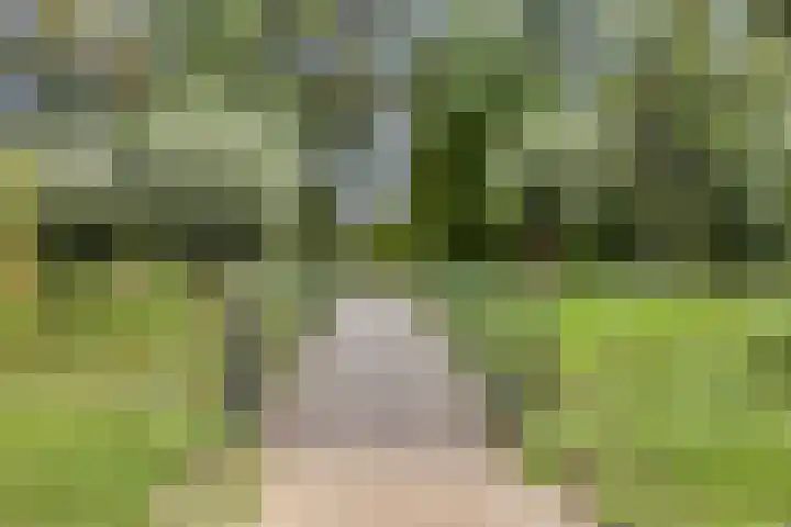 Dennemarkenhof 41 Roermond thumbnail 37