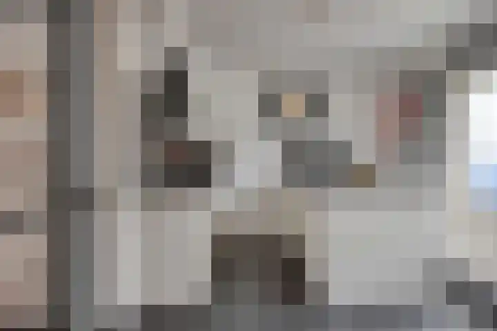 Dennemarkenhof 41 Roermond thumbnail 7