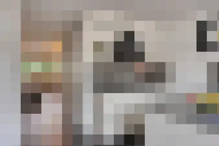 Dennemarkenhof 41 Roermond thumbnail 9