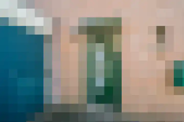 Dennenberg 4 Silvolde thumbnail 11