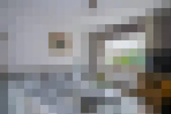 Dennenberg 4 Silvolde thumbnail 17