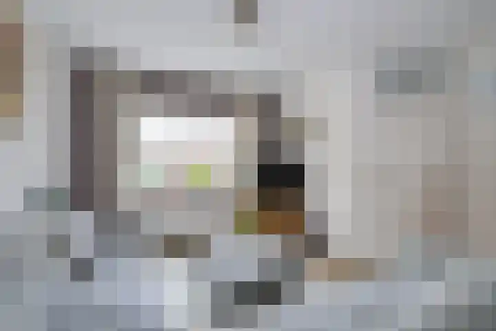 Dennenberg 4 Silvolde thumbnail 18
