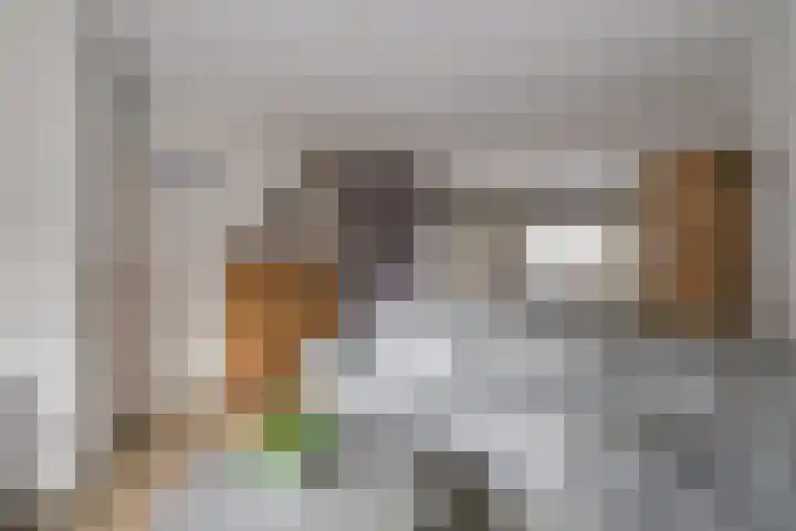 Dennenberg 4 Silvolde thumbnail 19