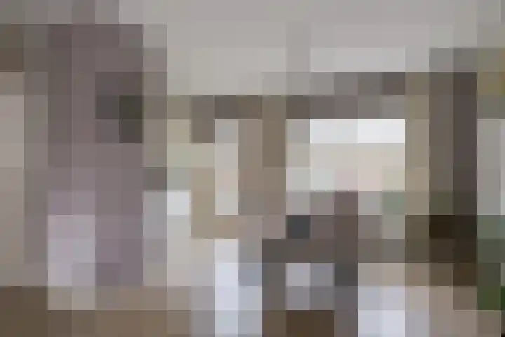 Dennenberg 4 Silvolde thumbnail 21