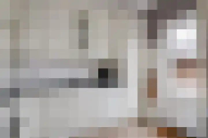 Dennenberg 4 Silvolde thumbnail 23
