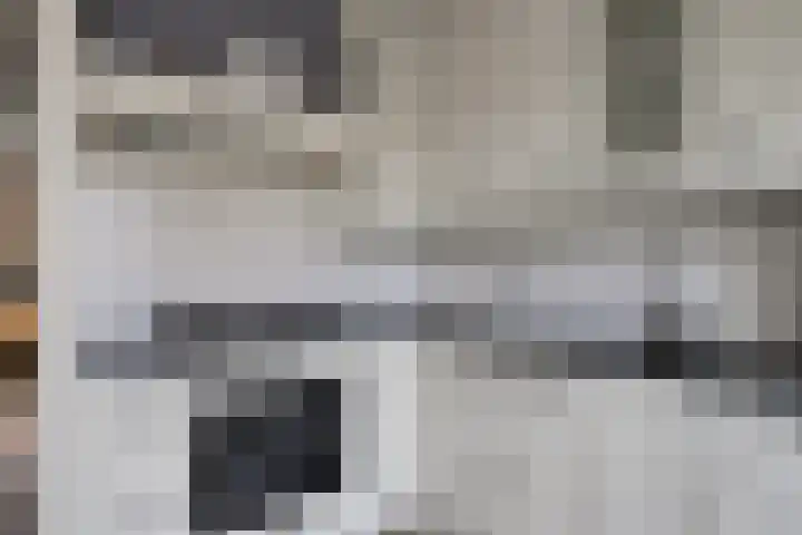 Dennenberg 4 Silvolde thumbnail 24