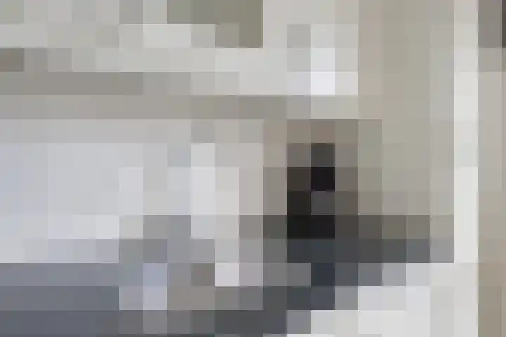Dennenberg 4 Silvolde thumbnail 26
