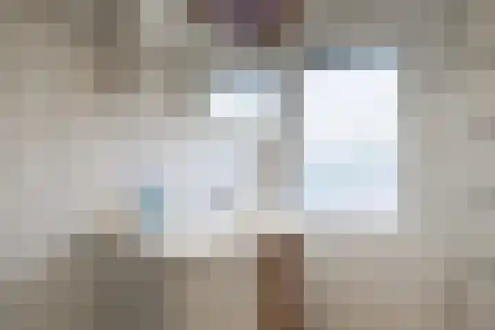 Dennenberg 4 Silvolde thumbnail 33