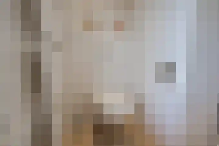 Dennenberg 4 Silvolde thumbnail 34