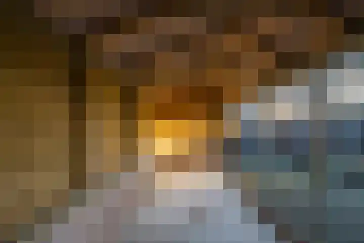 Dennenberg 4 Silvolde thumbnail 46
