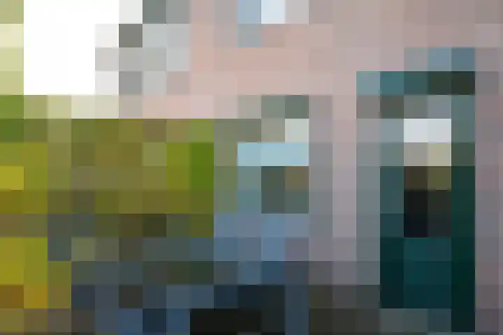 Dennenberg 4 Silvolde thumbnail 51