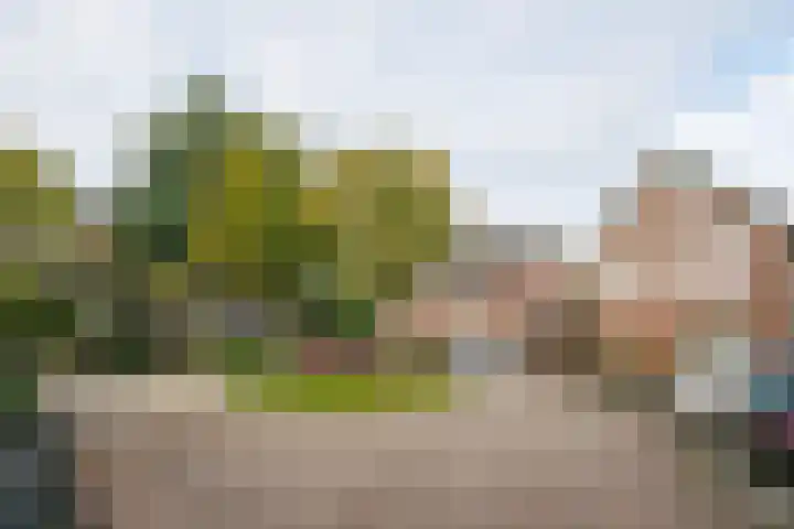Dennenberg 4 Silvolde thumbnail 52