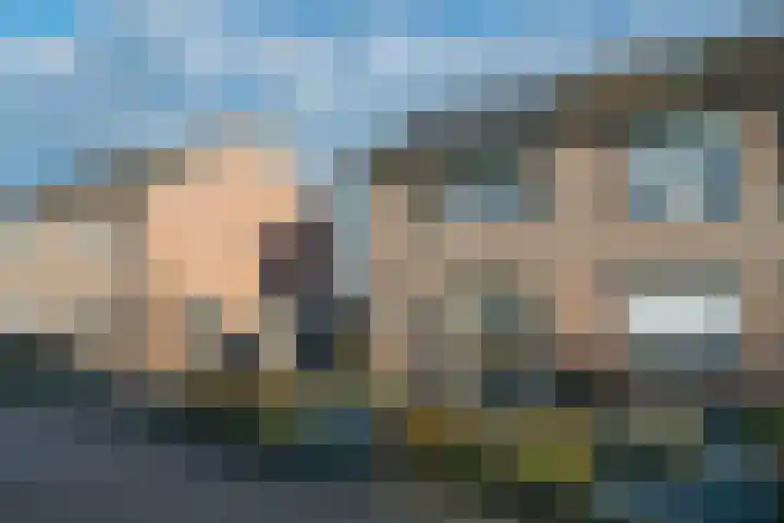 Dennenberg 4 Silvolde thumbnail 6