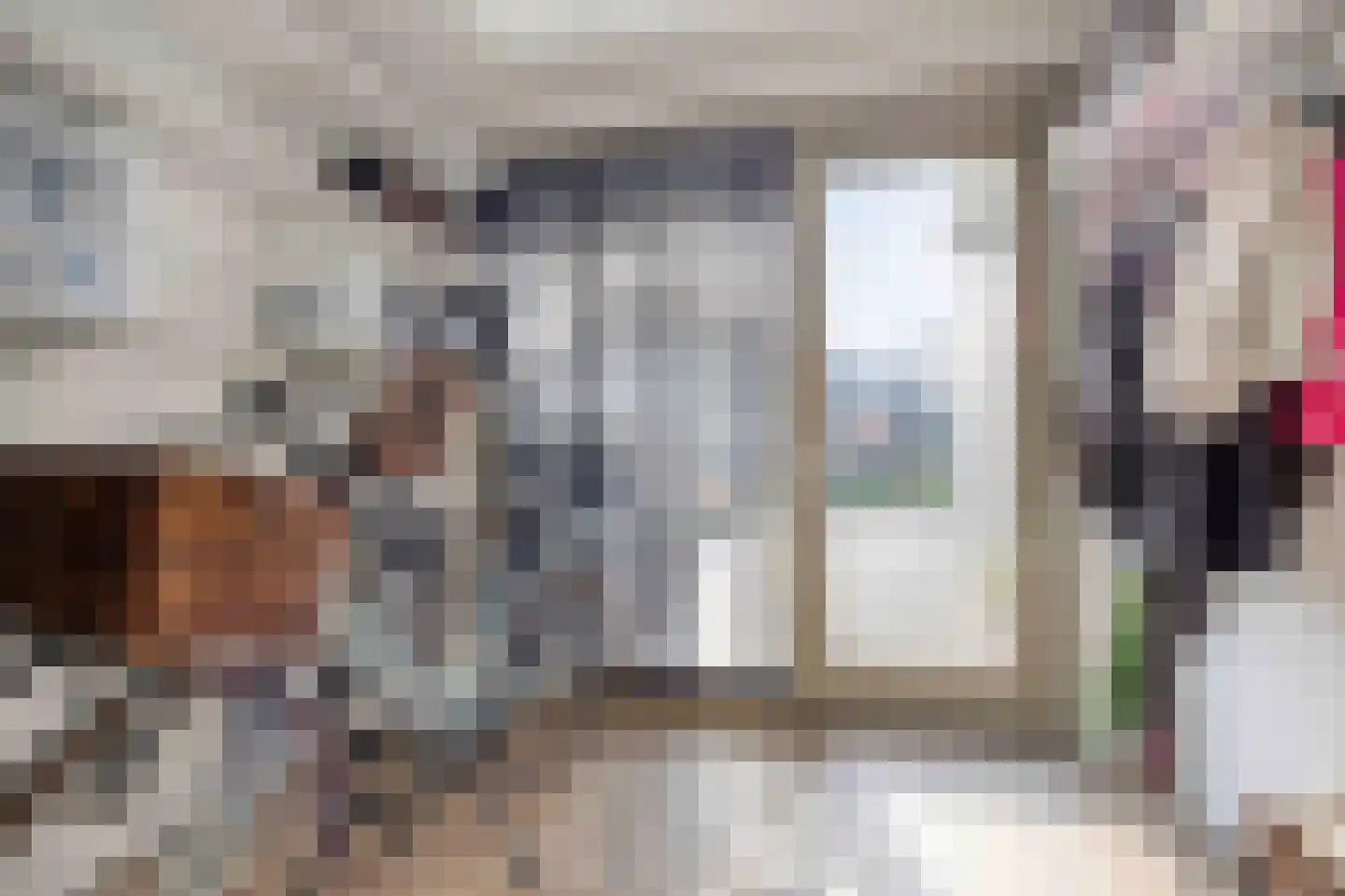 Dennenbos 2 Veldhoven thumbnail 26