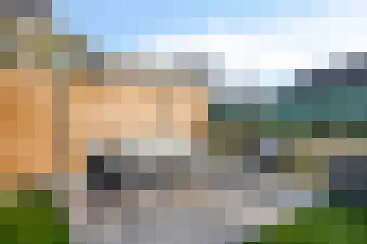Dennenbos 2 Veldhoven thumbnail 51