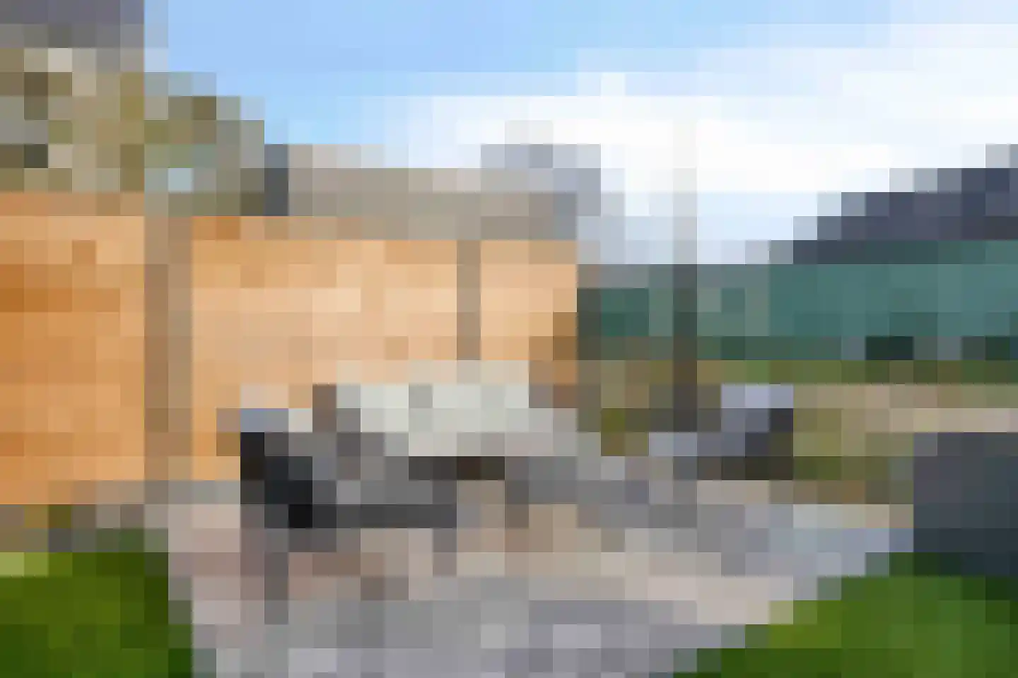 Dennenbos 2 Veldhoven thumbnail 51
