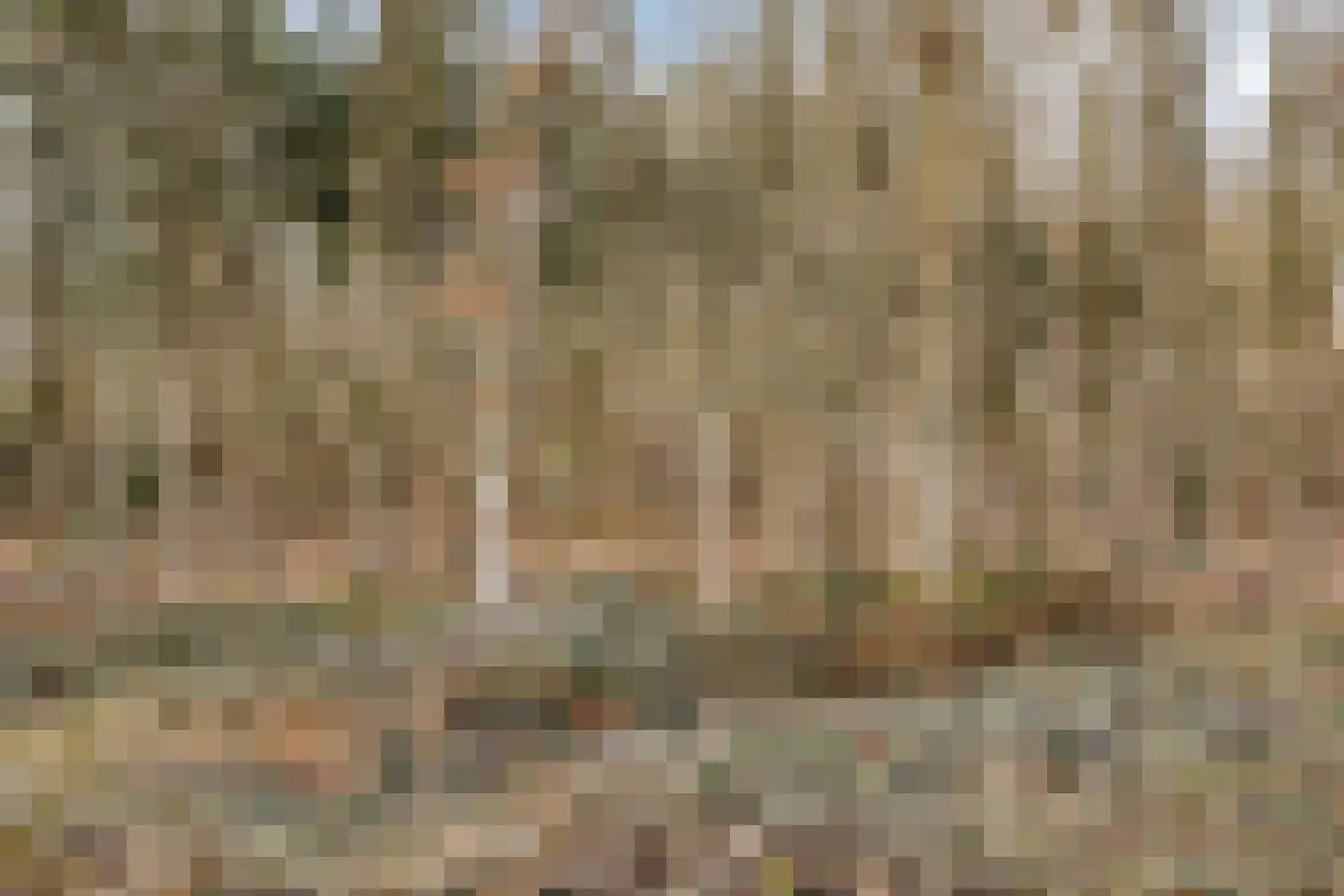 Dennenbos 2 Veldhoven thumbnail 54