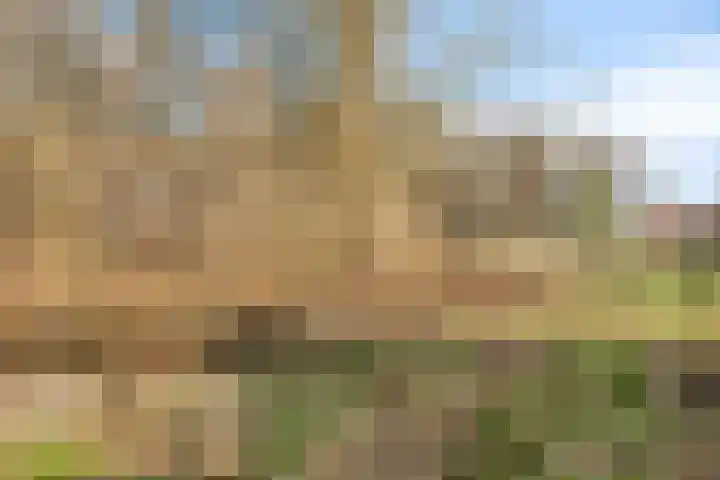 Dennenbos 2 Veldhoven thumbnail 56