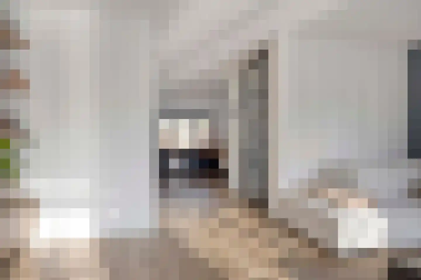 Dennenbos 2 Veldhoven thumbnail 8
