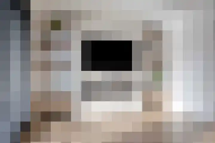 Dennenbos 2 Veldhoven thumbnail 9