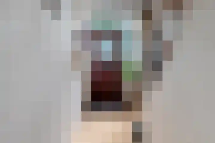 Dennenbosweg 119 Hengelo thumbnail 12