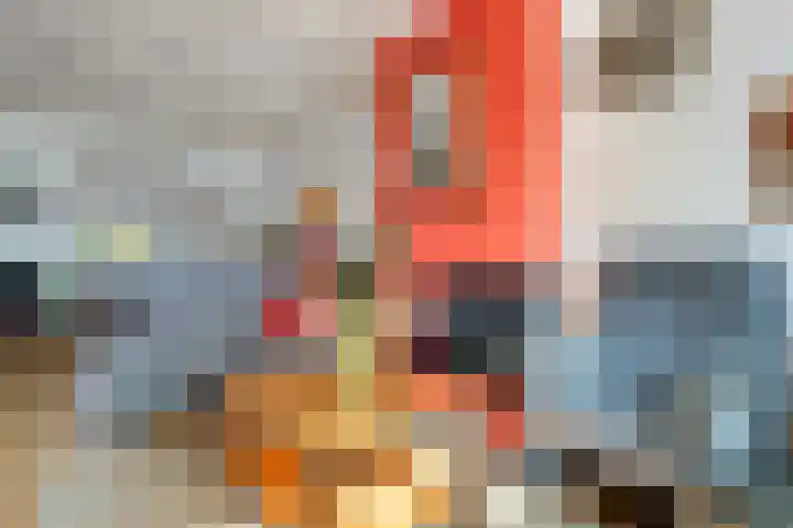 Dennenbosweg 119 Hengelo thumbnail 17