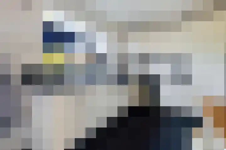 Dennenbosweg 119 Hengelo thumbnail 23