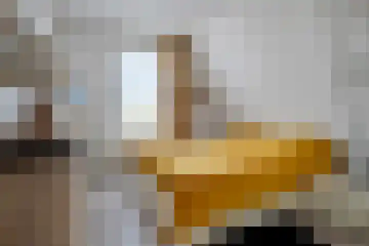 Dennenbosweg 119 Hengelo thumbnail 29