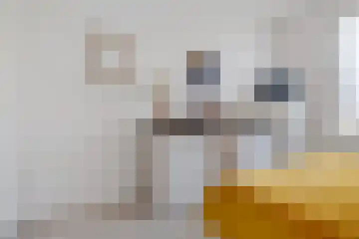 Dennenbosweg 119 Hengelo thumbnail 32