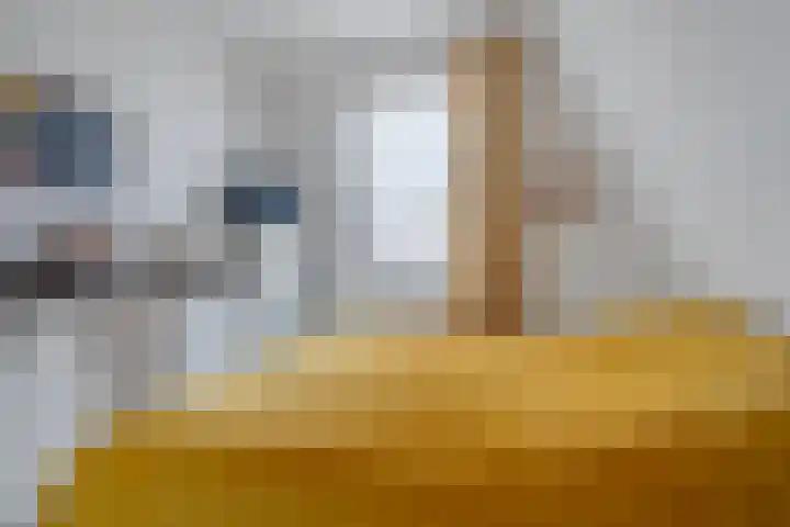 Dennenbosweg 119 Hengelo thumbnail 33