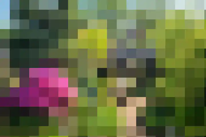 Dennenbosweg 119 Hengelo thumbnail 47