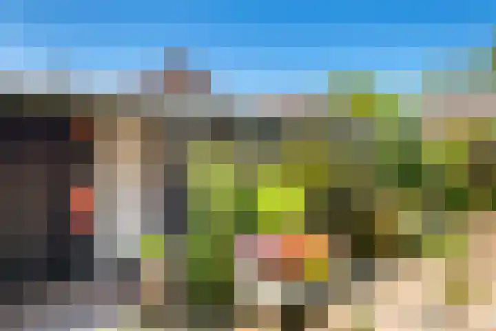 Dennenbosweg 119 Hengelo thumbnail 48