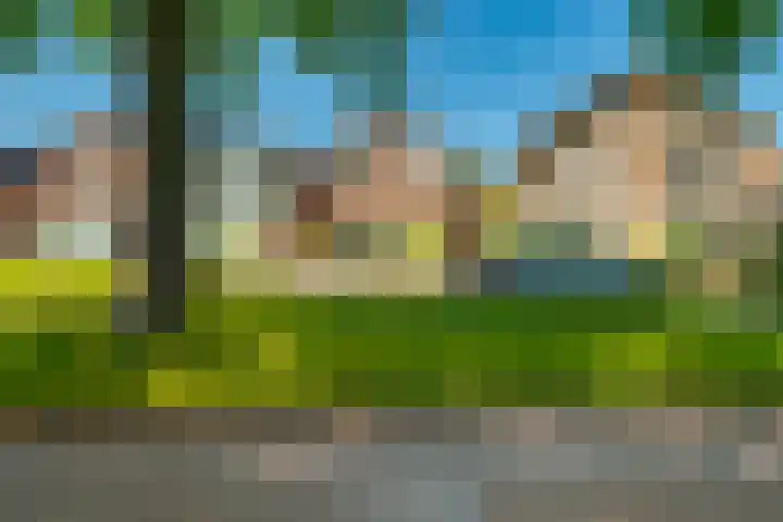 Dennenbosweg 119 Hengelo thumbnail 6