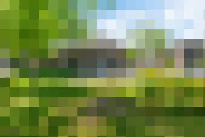Dennenbosweg 119 Hengelo thumbnail 7