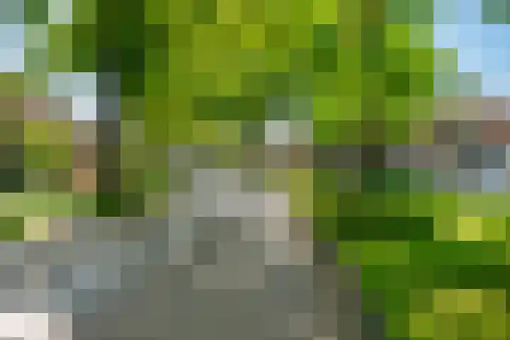 Dennenbosweg 119 Hengelo thumbnail 8