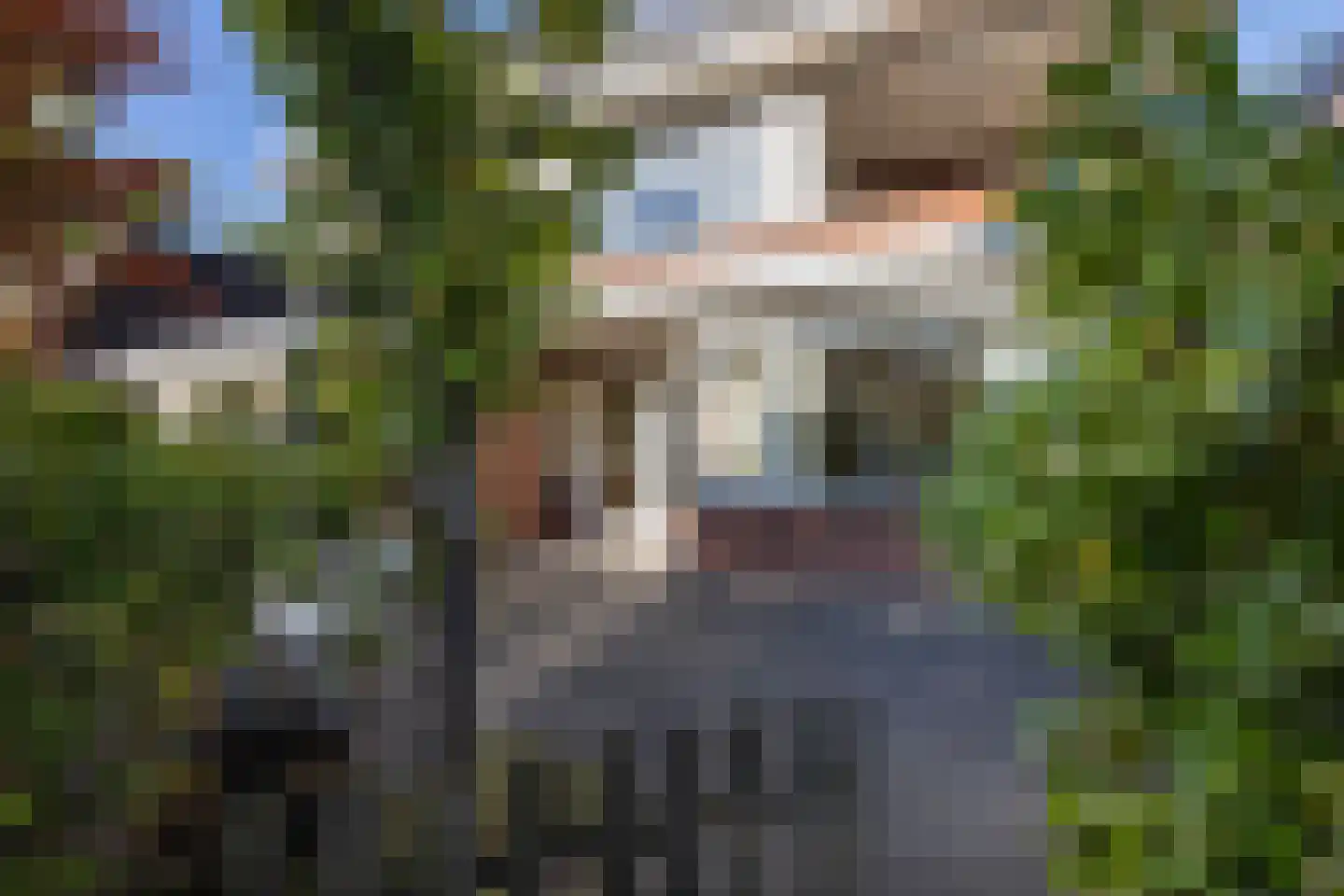 Dennenbosweg 151 1 Hengelo thumbnail 19