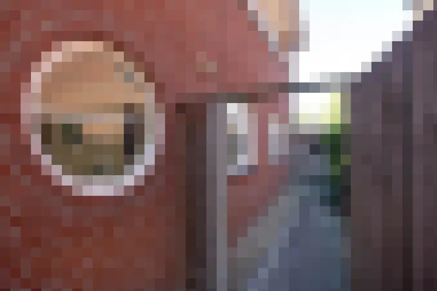 Dennenbosweg 151 1 Hengelo thumbnail 25
