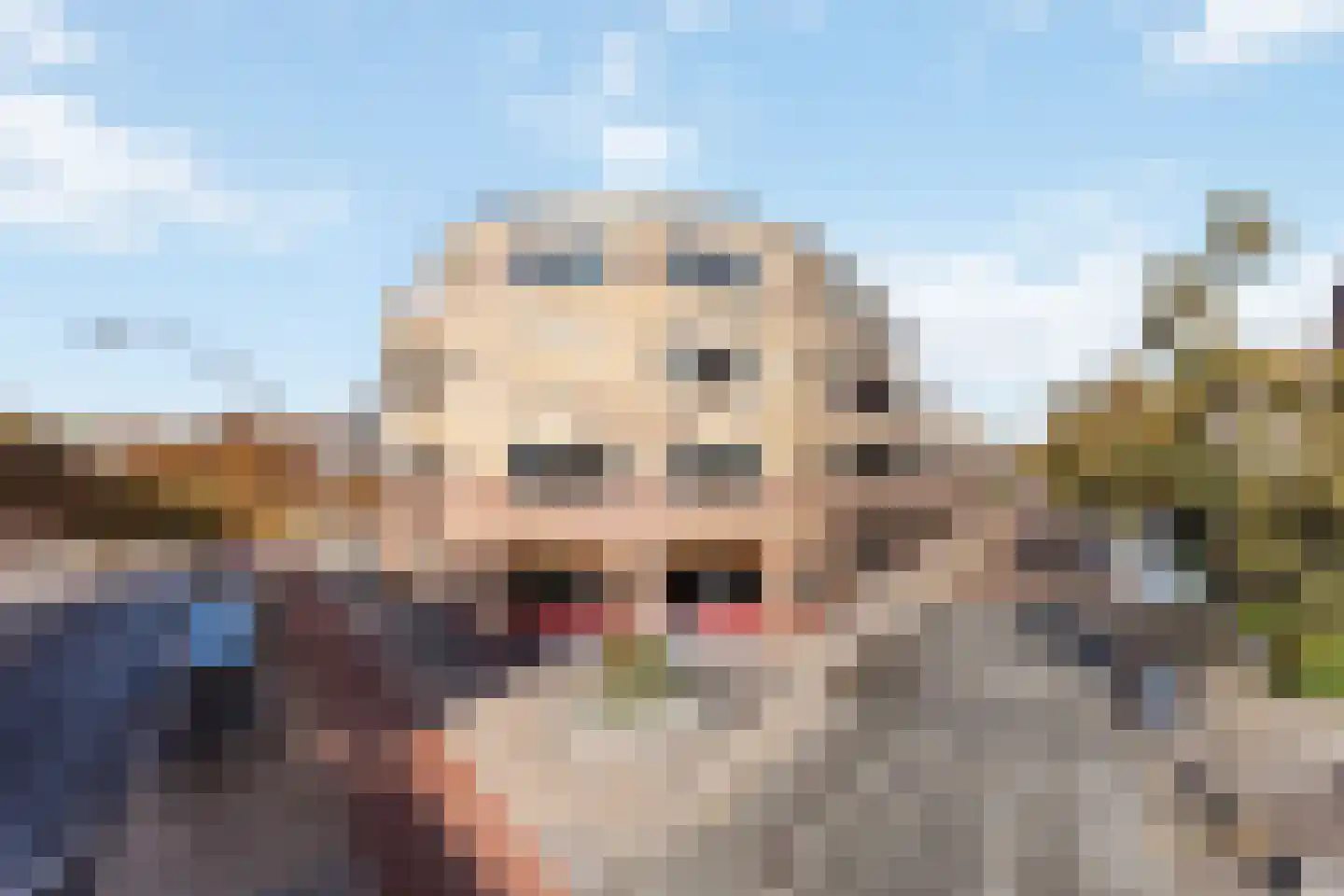 Dennenbosweg 19 D Hengelo thumbnail 21