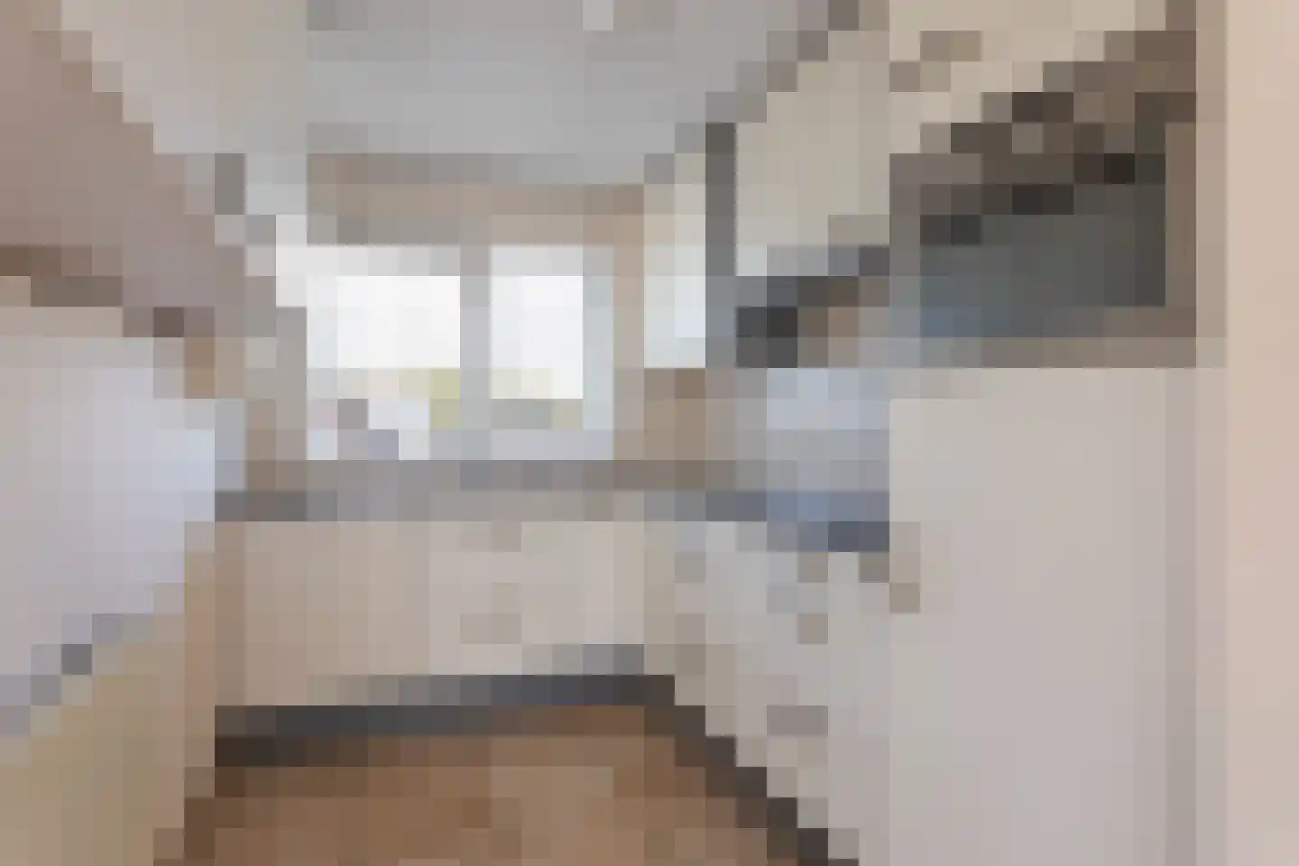 Dennenbosweg 19 D Hengelo thumbnail 4