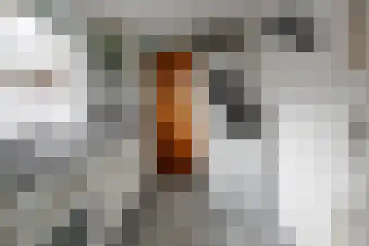 Dennenbosweg 199 Hengelo thumbnail 12