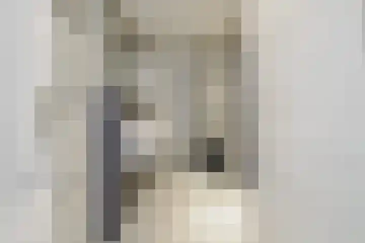 Dennenbosweg 199 Hengelo thumbnail 15
