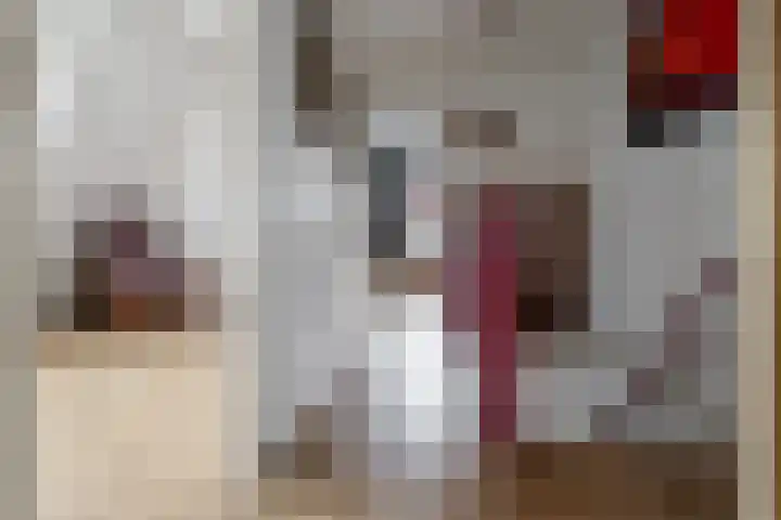 Dennenbosweg 199 Hengelo thumbnail 20