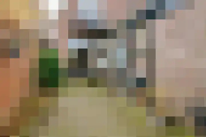 Dennenbosweg 199 Hengelo thumbnail 29