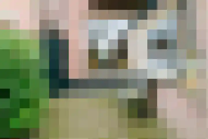Dennenbosweg 199 Hengelo thumbnail 30