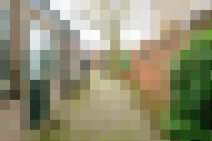 Dennenbosweg 199 Hengelo thumbnail 31