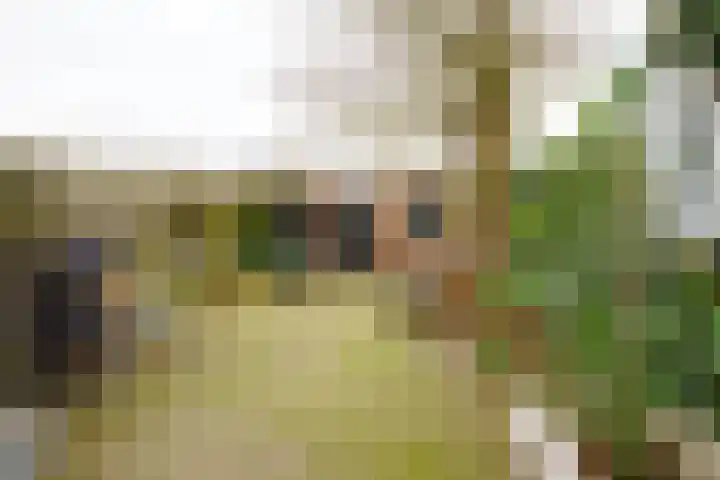 Dennenbosweg 199 Hengelo thumbnail 32