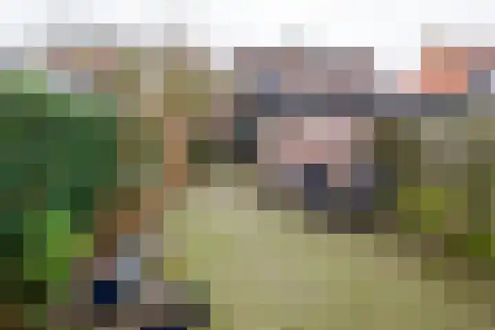 Dennenbosweg 199 Hengelo thumbnail 35