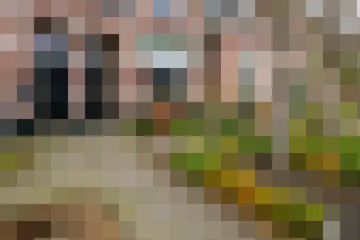 Dennenbosweg 199 Hengelo thumbnail 37