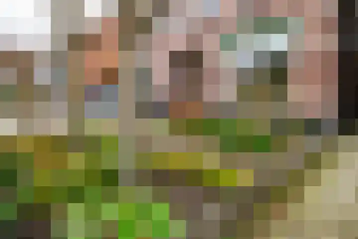 Dennenbosweg 199 Hengelo thumbnail 38