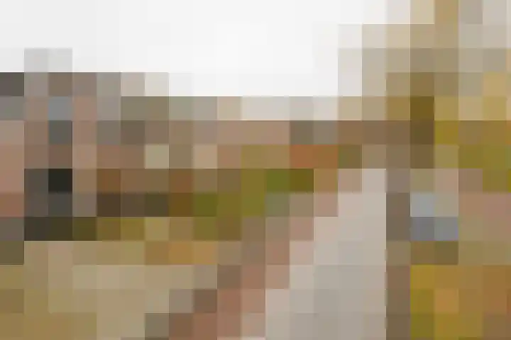 Dennenbosweg 199 Hengelo thumbnail 39